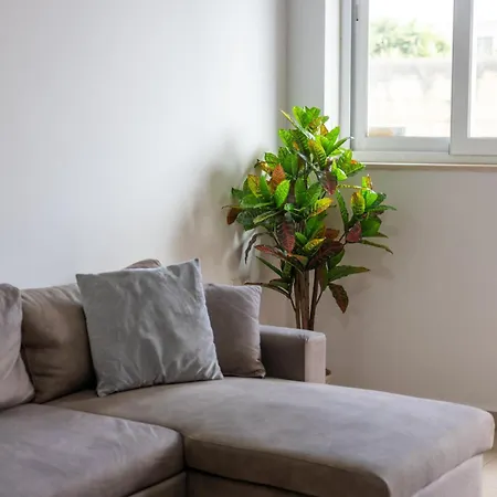 Court By Buena Vista *