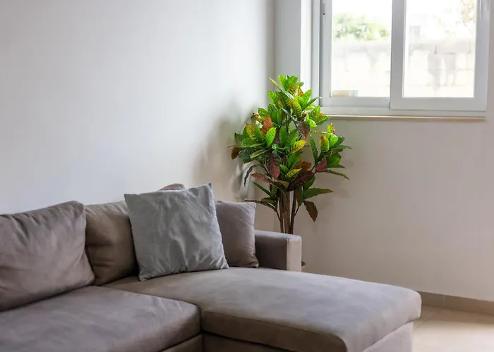 Court By Buena Vista *