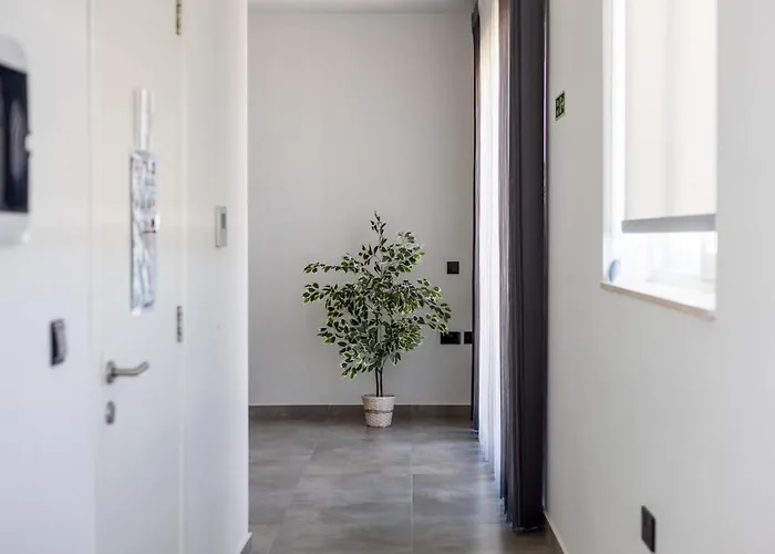 Court By Buena Vista * Bur Marrad